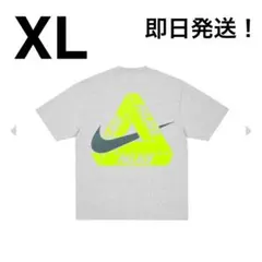 PALACE x Nike Tri Swoosh T-Shirt grayのサムネイル