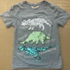 招*猫様 H&M 恐竜スパンコールTシャツ（ライトブルー） 120cm