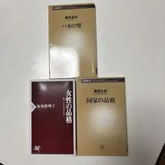 Item thumbnail for item 4246f5ed-638b-40b2-a6fc-7541e60eada1