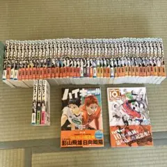 ハイキュー!! 全巻セット 1-45巻 ＋10thクロニクルなど