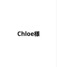 Chloe様専用ページ　堀さんコースター