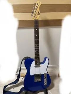 FUJIGEN FGN Basic Classic TL 保証書付のサムネイル
