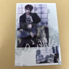 &TEAM HARUA ハルア Backtolife フォトシート BREATH