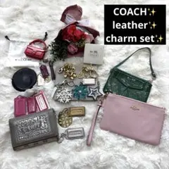 COACH VINTAGE leather charm poppy set