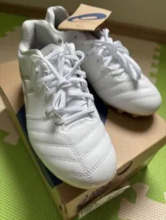 アシックスサッカー スパイク DS LIGHT JR GS 22.5