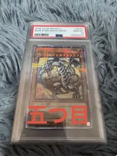 【希少・五つ目】PSA10 青眼の白龍 浮世絵風 25周年記念 ブルーアイズ