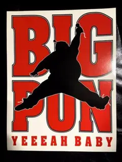 BIG PUN YEEEAH BABY Big Sticker ビンテージ レア
