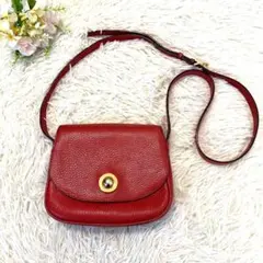 【極美品】セリーヌ ショルダーバッグ スターボール トリヨンレザー レア