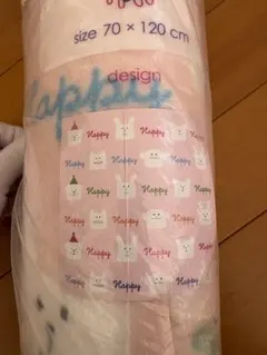 Item thumbnail for item feccf038-a34c-4a45-a58f-e5439b855a4d