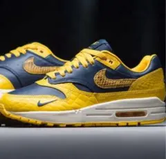 送料無料 新品 NIKE WMNS AIR MAX1 PREMIUM 26