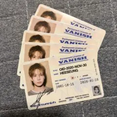 ENHYPEN THE SIN : VANISH ヒスン