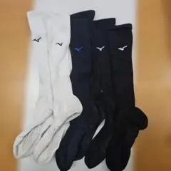 Item thumbnail for item fede0843-5929-478d-bbae-eab1541eba16