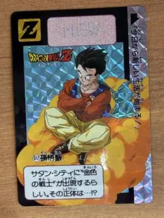 ドラゴンボールZ 孫悟飯 PPカード 1992年 ドラゴンボールZ PPカード カードダス 孫悟飯 - メルカリ