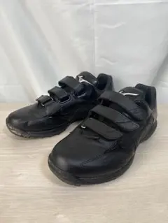 Item thumbnail for item 81d2d094-dce6-43ab-acc6-74ba64f567e5