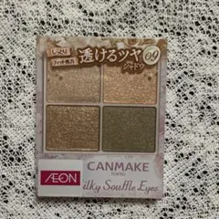 【新品未開封】キャンメイク　アイシャドウ　シルキースフレアイズ　09 廃盤商品