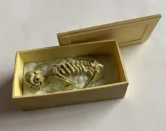 Item thumbnail for item 8a4515d8-7d4b-4d36-8c1b-8e4d57e60084