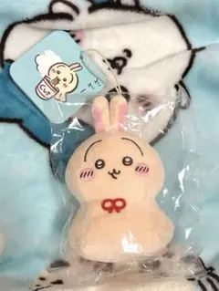 24時間以内 匿名配送 ウラヤハボウズ お顔厳選