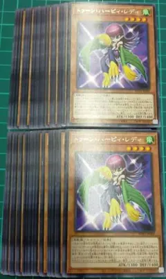 トゥーンハーピィレディ　50枚セット まとめ売り