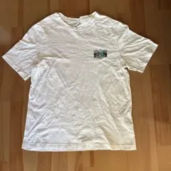 L.L.Bean アウトドアトラディション Tシャツ XL