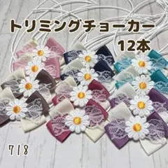 (*˘˘*)『718』❤︎.*トリミングチョーカー 12本
