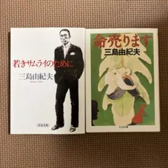 仏 ガリマール社 プレイヤード叢書 7点おまとめ - メルカリ