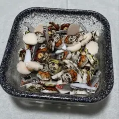 チャッキー　ネイルパーツ