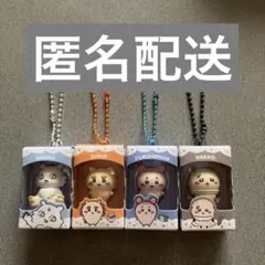 ちいかわ　チョコボックス　あのこ　シーサー 古本屋　ラッコ　まとめ売りのサムネイル