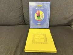 1981年初版 世界のメルヘン15 風の子王女さま 東欧童話 絵本 児童書