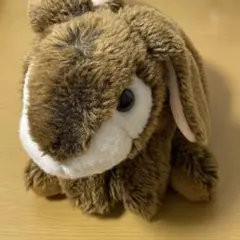 【最終値下げ】うさぎ ぬいぐるみ 茶色