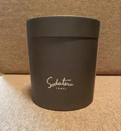 Item thumbnail for item 4a4888d8-1823-42d1-b7c0-efdd8f419de9