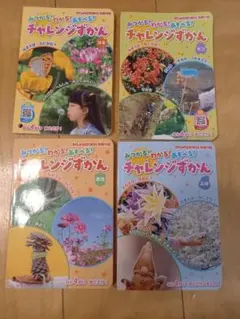 チャレンジずかん 4冊セット　がくしゅうひかりのくに別冊付録