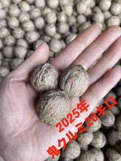 2025年最新】鬼クルミの人気アイテム - メルカリ