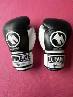 Item thumbnail for item f797209b-5750-4271-ba52-c3b21629e42b