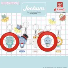 jochum めじるしアクセサリー　ヤヌカミ　マイクン　2個セット