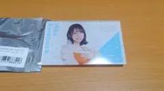 Item thumbnail for item 196dde8f-b5fc-4ad5-8356-81acd4954d37