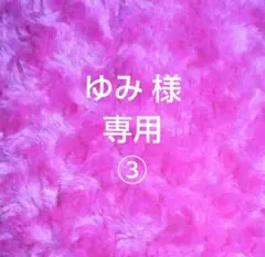 《ゆみ様専用 》エコクラフトバンド　かごバック　オーダー注文