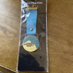 非売品ディズニーシー2022ガイドツアーメダルチャーム　ソアリン
