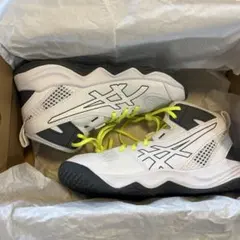ASICS 21.5㎝バスケットボールバッシュ/ジュニア/アシックス