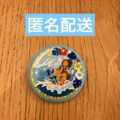 ディズニー 刺繍缶バッジ リロ&スティッチ