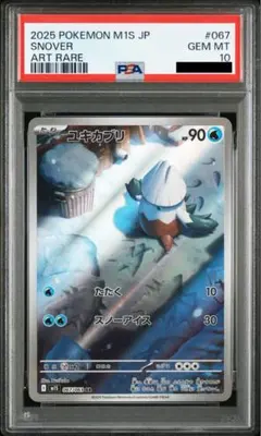 PSA10】ヌオー リバホロ - メルカリ