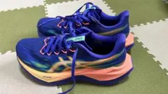 ASICS NOVABLAST 3 ランニングシューズ 27.0cmのサムネイル