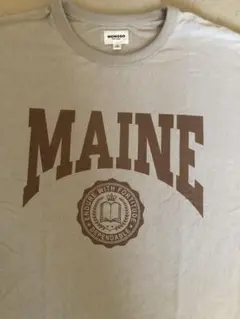 Item thumbnail for item 3c080553-c7aa-4c1a-9310-77060d598cdb