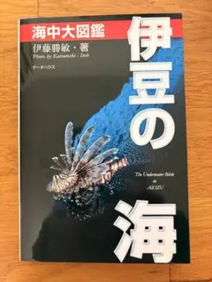 【ダイビングに！】伊豆の海 海中大図鑑