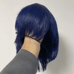 越前リョーマ ウィッグ - メルカリ