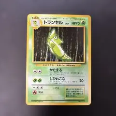 期間限定値下【PSA8】ポケモンカード トランセル 旧裏 初版 マークなし