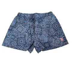 タグ付き☆ミキハウス(ホットビスケッツ)のペイズリーパンツ(110)