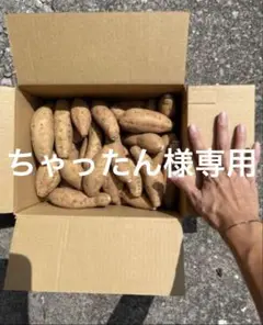 ちゃったん様専用　種子島産　安納芋　こがね　2S 3kg
