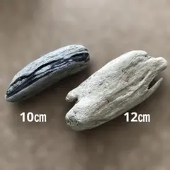 流木セット - 自然な形状と色合い