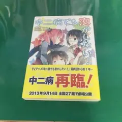 虎虎著・逢坂望美イラストのライトノベル「中二病でも恋がしたい!」第2巻