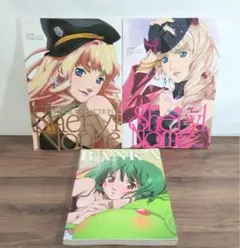 マクロスF ランカ・リー シェリル・ノーム スリーブ - メルカリ